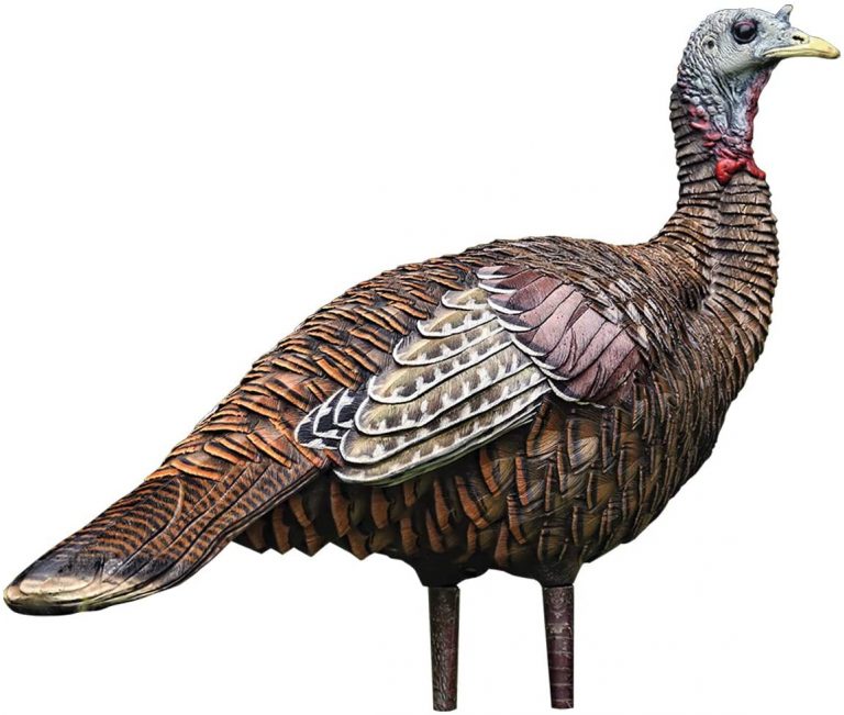 Best Turkey Hunting Decoys [2023 Review] Top Most Realistic Decoy
