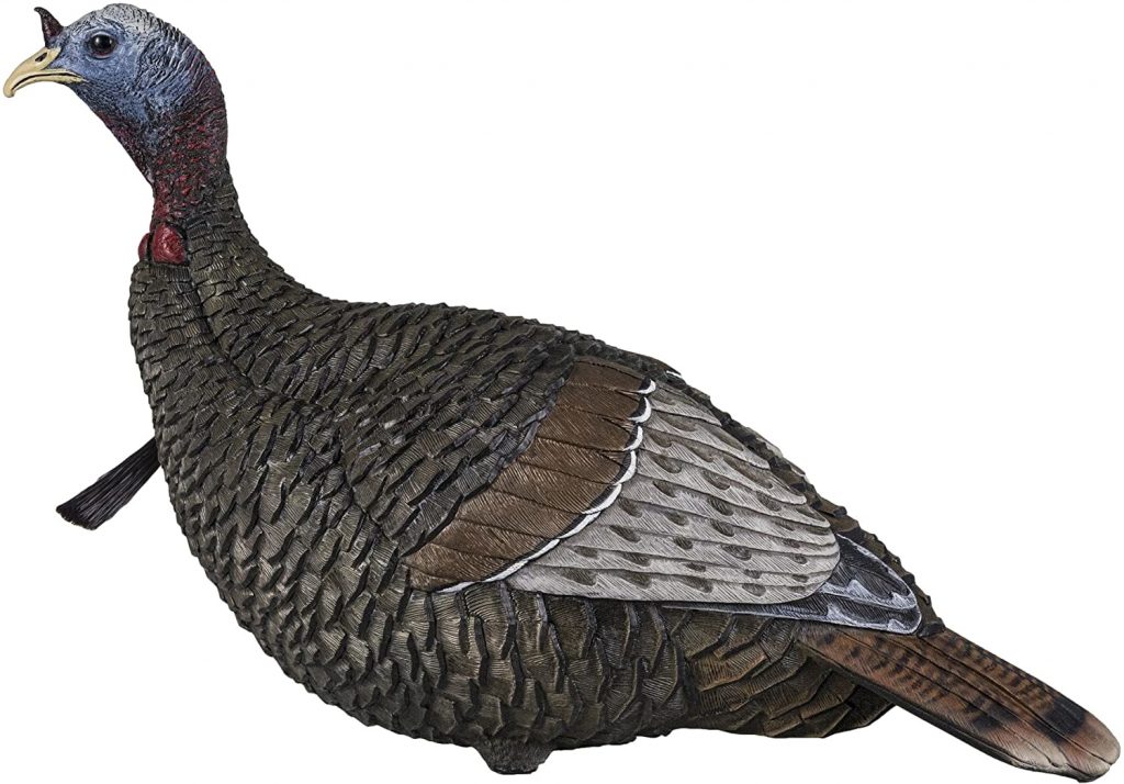 Best Turkey Hunting Decoys [2023 Review] Top Most Realistic Decoy
