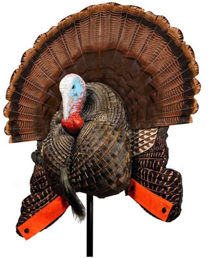 Best Turkey Hunting Decoys [2024 Review] Top Most Realistic Decoy